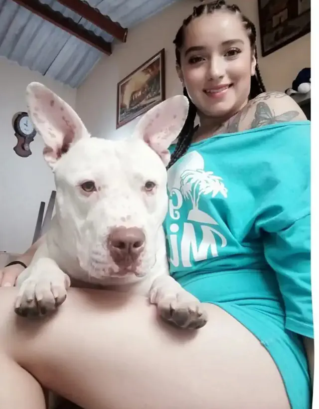 escort-media-03f8e4d0-96aa-4b7b-b969-a5de44e55965