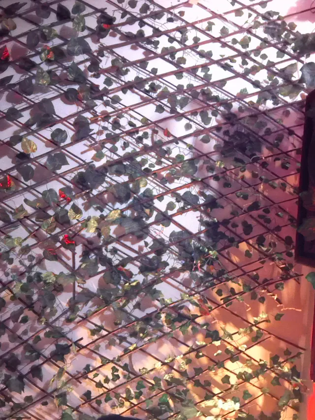 escort-media-2a4d70e2-10b2-4bf1-8a71-b31474374c3d