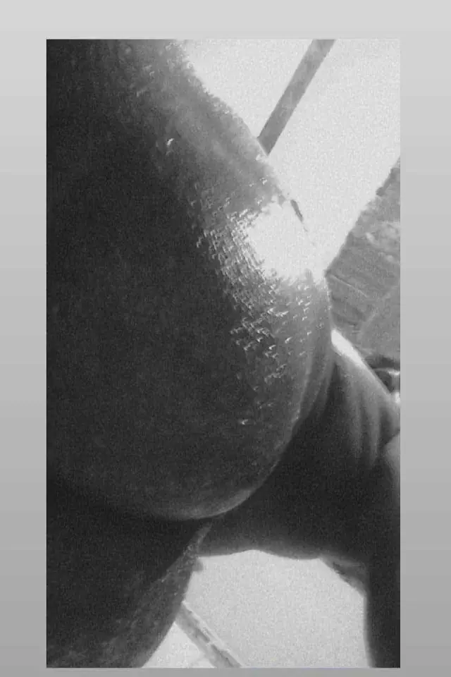 escort-media-30628aad-0c17-4bda-b05e-8e56c1706461