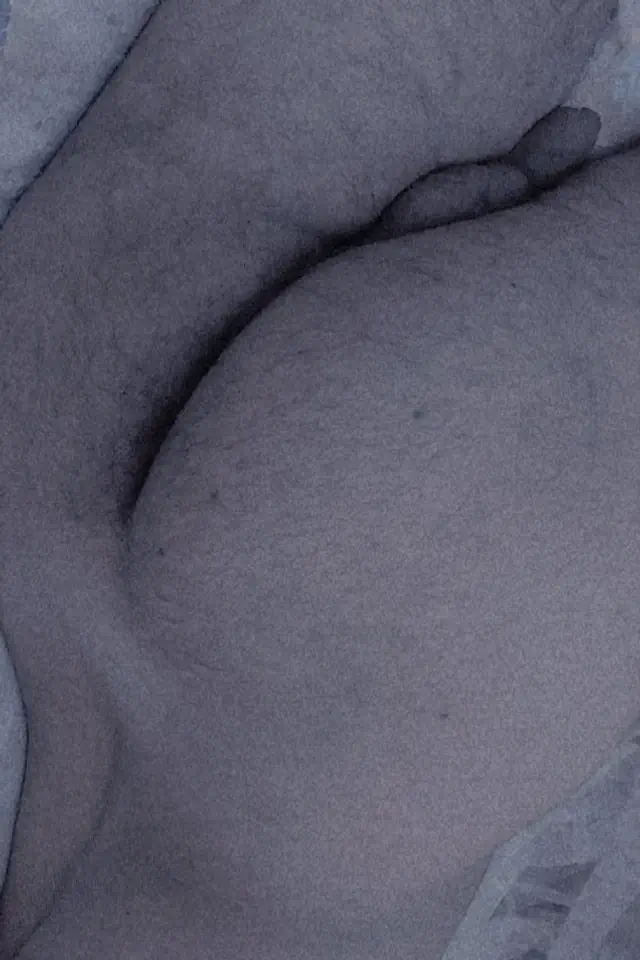 escort-media-32dd39ae-6ab3-4863-8f52-5466f51468a9