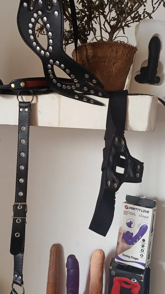 escort-media-350eb808-a1c4-4320-982d-5d6e41634a45