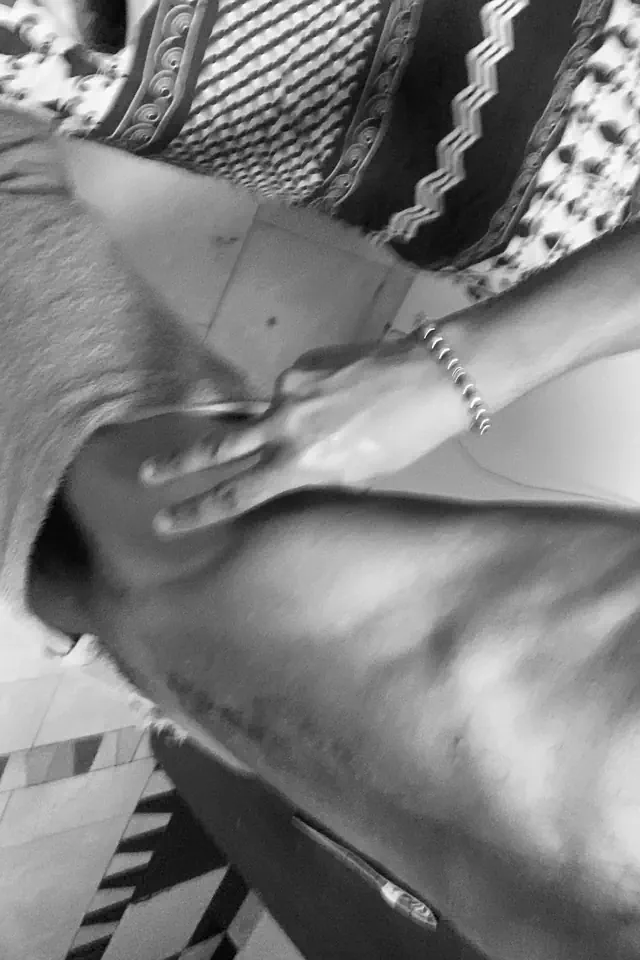 escort-media-35b03567-1a2d-4b4f-8c25-e8442942bc74