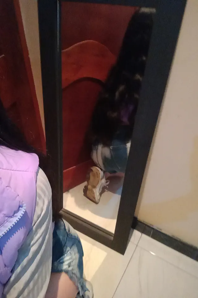 escort-media-3ee24ff5-e134-4e0a-b110-bafbd5376f69