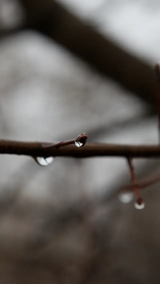 escort-media-5ded1526-b558-4b6f-b54d-6f499bf63525