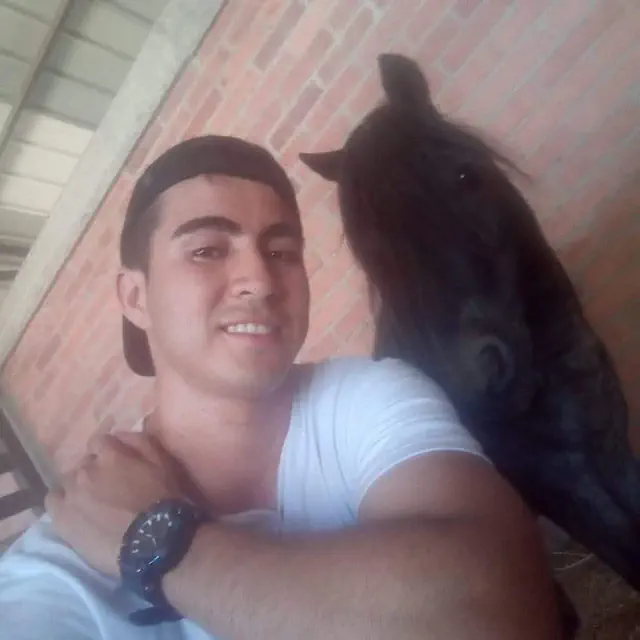 escort-media-6303a354-25f4-46dd-9660-a9929cee7ce1