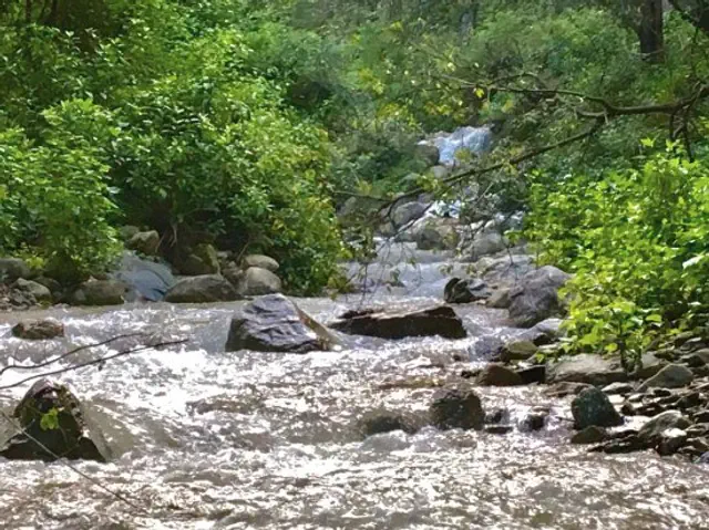escort-media-7b7336ff-fa7b-47b6-2daa-f975d5bbd200