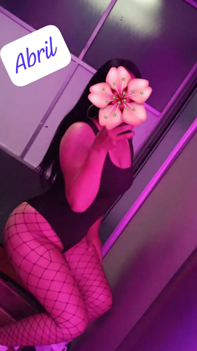 escort-media-7f4ebc4e-ebe5-4670-b955-ea07e52790c2