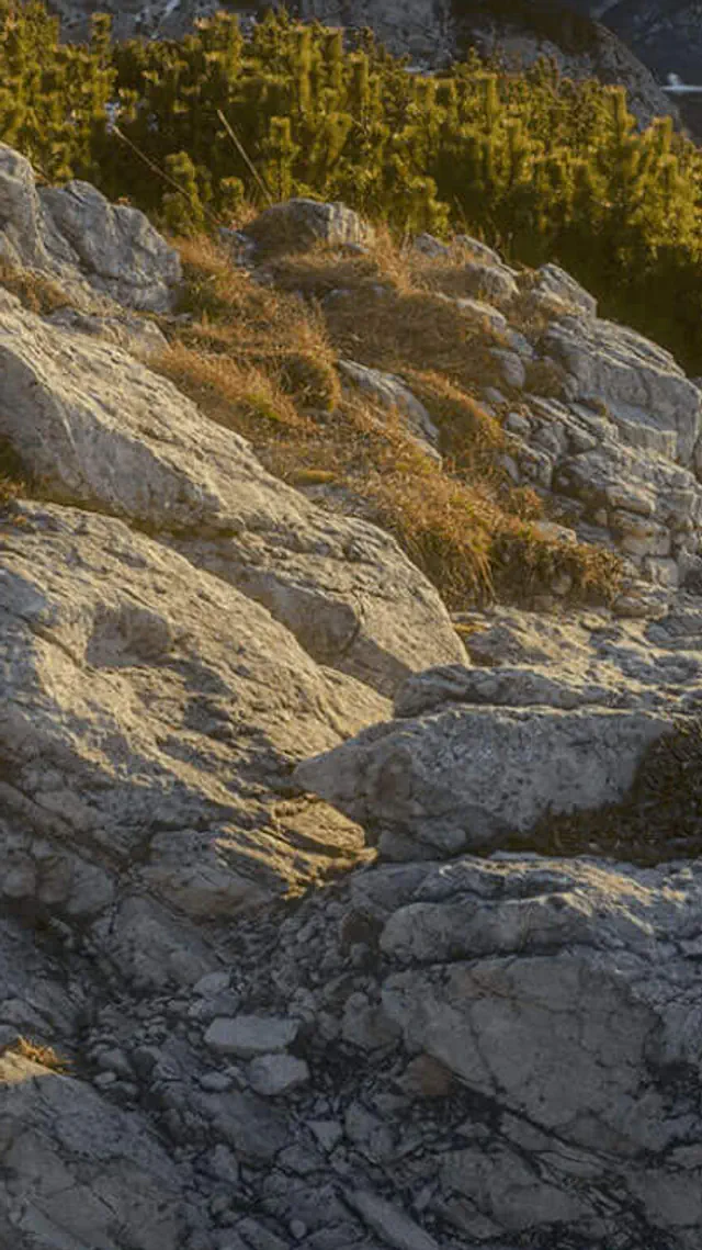 escort-media-97d705bf-01c9-4359-b90e-1caafa92dd77