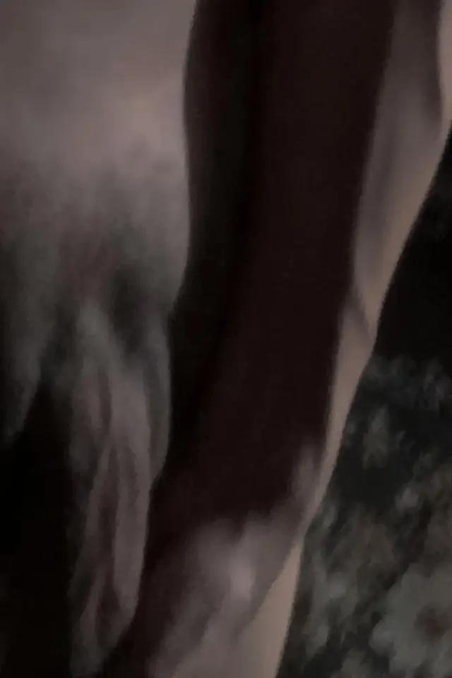 escort-media-be5e777c-a5bb-47f6-84cf-6621f3b2798f