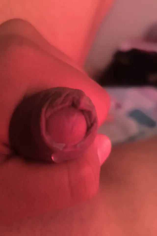 escort-media-d0712068-b22e-44b0-b3c0-5f176ebaef46