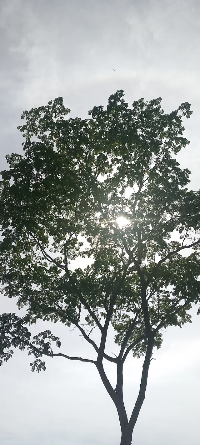 escort-media-d4729ea5-5ca7-4905-be27-0e8a28744f5e