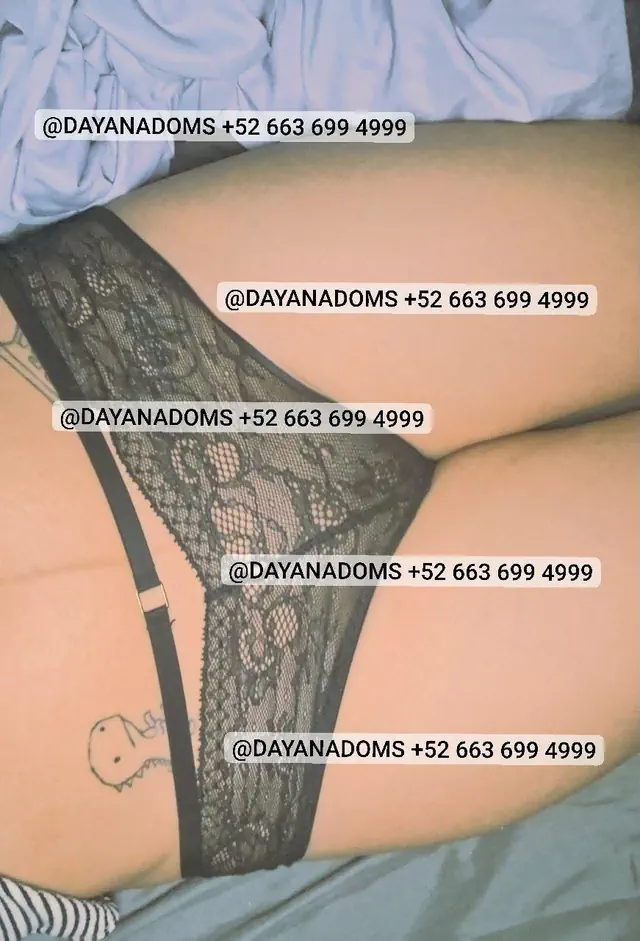 escort-media-d503e9ea-2445-48ef-ad59-01f2b812a0f8