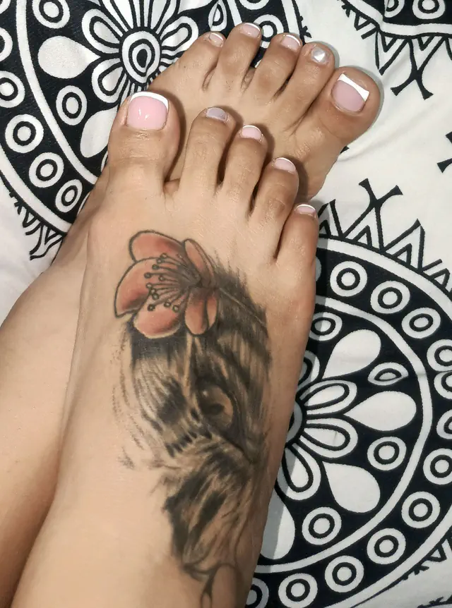 escort-media-d87df9ce-ba27-4314-acff-0464c8a0f332