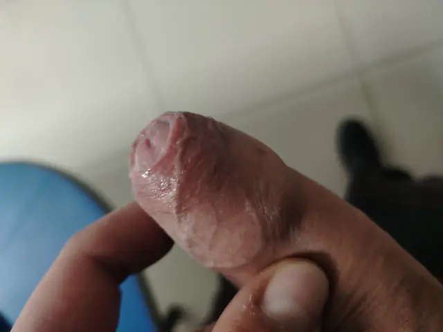 escort-media-dff0b4e5-804b-473c-900d-fefb42327204