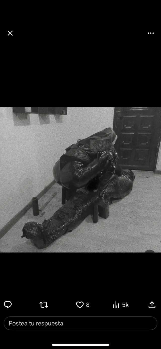 escort-media-e0e0241d-084f-4189-b767-540230f00bf8