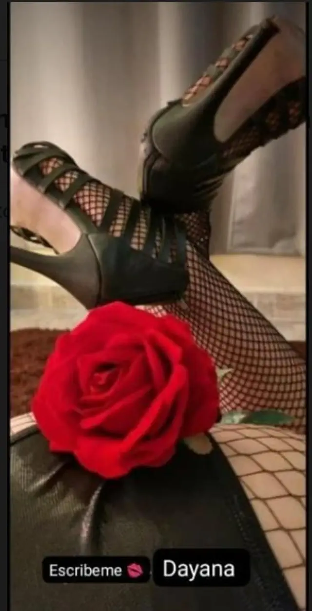 escort-media-ed09a74a-af64-4495-99a8-02a6e81b1f00