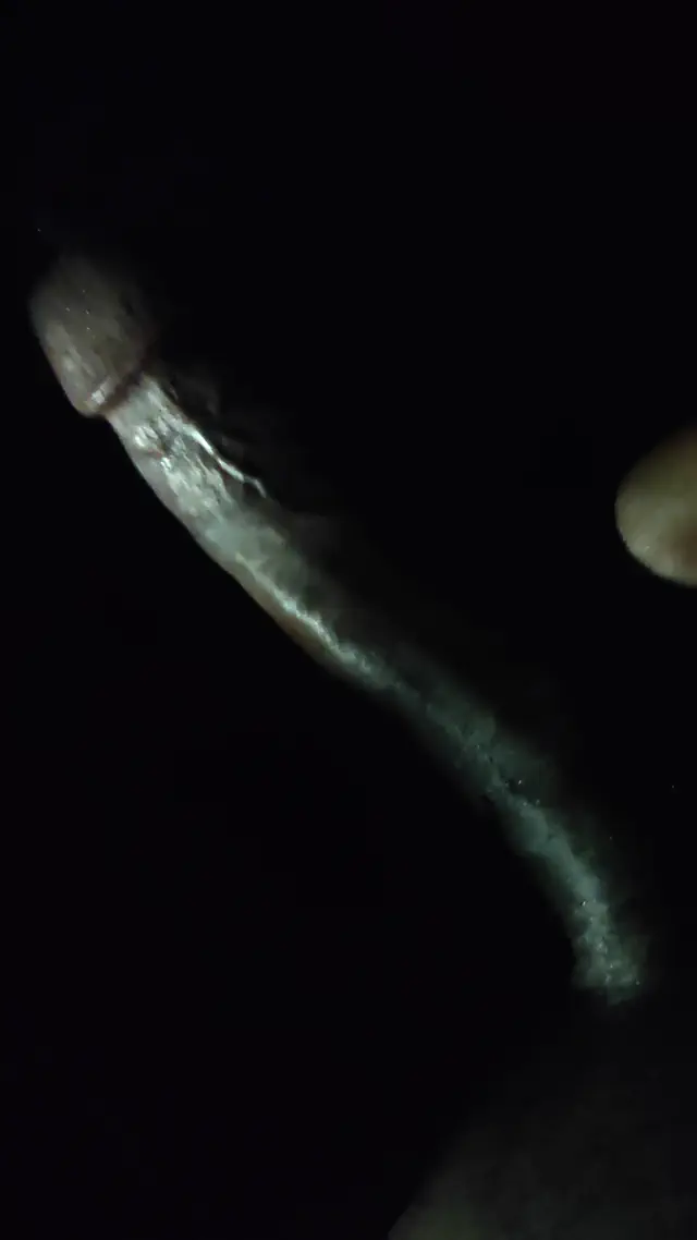 escort-media-f8ff742d-58c2-4b70-b095-c733cd42497d