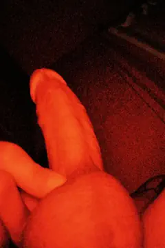 José - Foto 00281e08-a3f9-40be-b7a9-cf9094fd1454