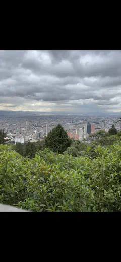 Mis - Foto 19a81266-80b2-422d-9698-d9a85eb86635