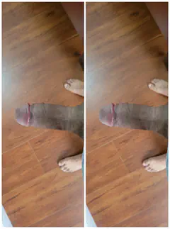 raven  - Foto 1ac83822-130c-4cd4-0655-f036e6b70700