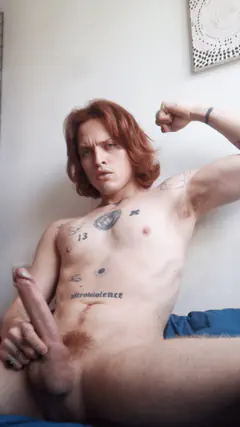 Frank - Foto 21788401-c127-4621-b693-76ddfdae8100