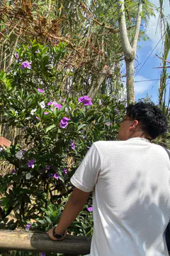 Andres M - Foto 36465dd1-4136-453b-b6d4-6d185a3ff307