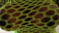 DANNA - Foto 3772ac7a-5f6c-4ad2-6b5f-146753af0b00