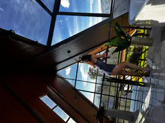 Belaya - Foto 4b63d635-a68e-4e10-b2f7-67c029e8caef