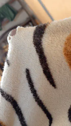 Jahir - Foto 631c9108-4ab5-4df6-8596-eb4536a1c200