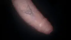 Farak - Foto 68922cff-5a59-41d9-82fe-d4cdd4124149