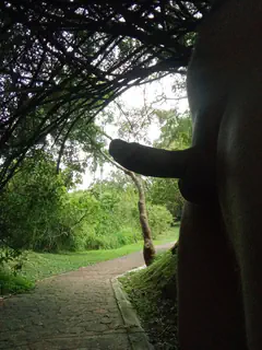 Deivi - Foto 7235501a-88f0-4317-9957-cf1c94dc3124