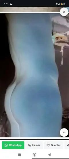 Jorge - Foto 74de30c4-4e96-40a1-a3e8-6bc531ef2c5b