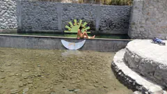 HéCtor - Foto 7e281a27-840a-4a87-a6c1-3f91e4e83c46