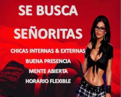 Amanda - Foto 87bb8b91-696f-43a0-bcb4-4a942b966daf