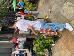 Junior - Foto 9f890651-2080-45f7-adbb-56802c590994