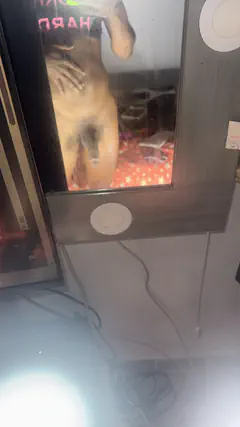 Vicky Manuela - Foto a916904e-0ff1-4b4e-84a7-e82e9213e20c