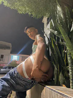 Dante - Foto c375b391-654b-4978-8b91-139c4b3b08e3