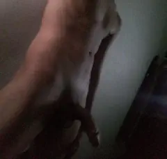 Juan - Foto d949f871-1aa9-48c1-a07f-92267106598f