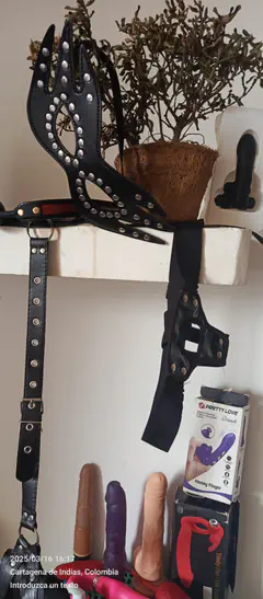 Andrea - Foto e0f83075-db2b-41c8-856d-614555eadda6