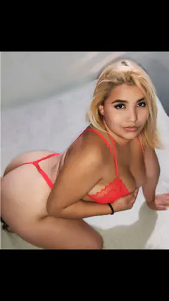 Nicoll - Foto e346b964-1ab3-46a0-8847-8bf2b7409a19