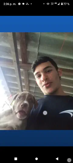 Augusto - Foto e674ce05-d6cf-422e-8102-42bba24e258f