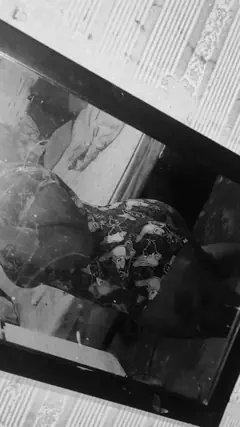 Wendy - Foto ea107800-499e-478e-93a4-22df0b74751d