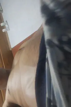 Erik Ivan - Foto ec5c2df3-08c0-4680-8536-02c8dc1ffe57