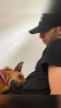 Breysson - Foto ef52b40b-5c51-4f55-8c8b-b81af5b1f190