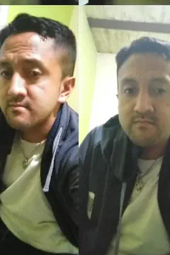 Wily - Foto f46d18b9-0658-40ca-a8f9-32efbb375ff9