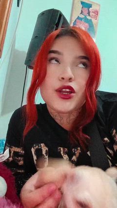 Moly - Foto 05fb17e5-49ec-4a5c-90b6-68faf51af231