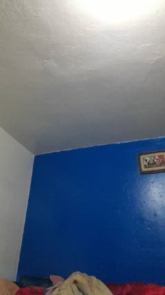 Bello - Foto 089b62f7-4dfe-4e9a-9ab6-8131b449918d