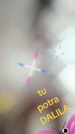 Dalila - Foto 16d009b1-f0c1-4214-924c-d7d00d2c90aa