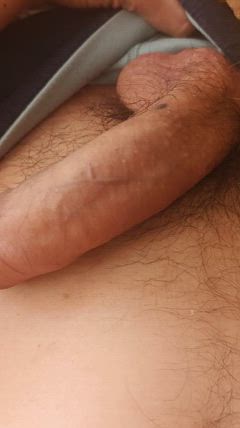 Renan - Foto 1fcc4a2d-c930-4249-9030-cd3f94e5fd76