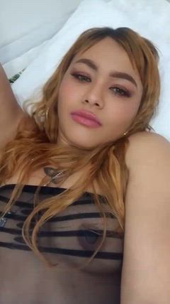 Cataleya - Foto 2fcd6dd7-25f5-48ec-bfd5-239987cff690